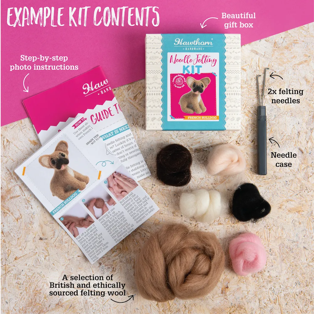 Seal Pup Needle Felting Kit
